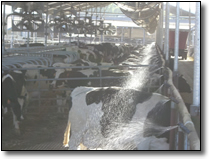 Fansoaker Fan Soaker